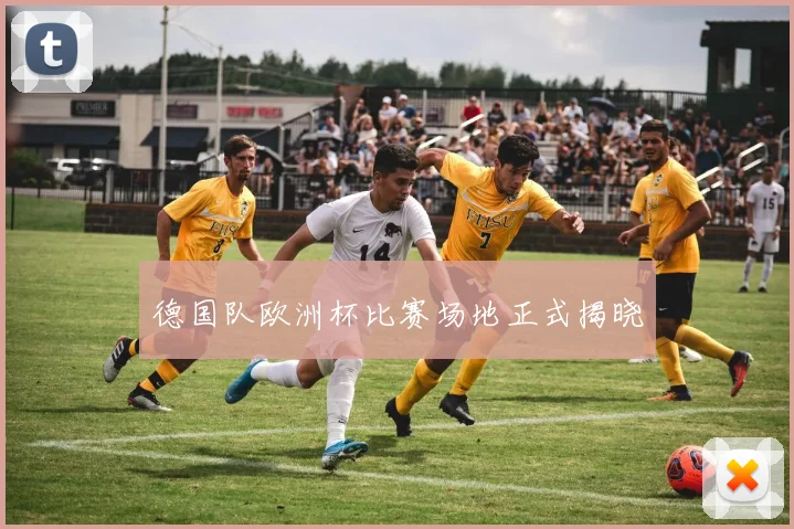 德国队欧洲杯比赛场地正式揭晓