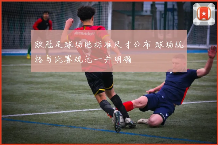 欧冠足球场地标准尺寸公布 球场规格与比赛规范一并明确