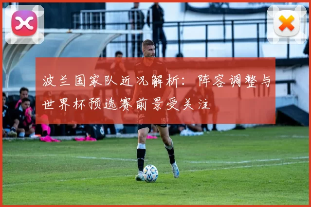 波兰国家队近况解析：阵容调整与世界杯预选赛前景受关注