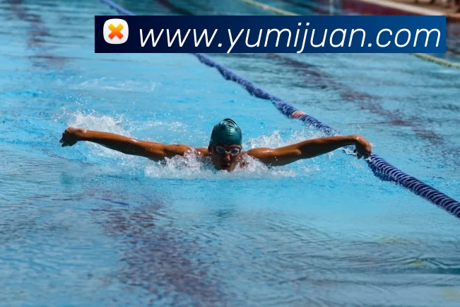 App Interface Preview